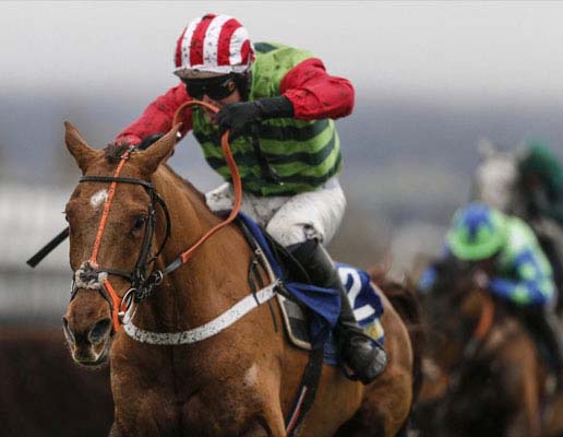 Cheltenham Gold Cup B&B